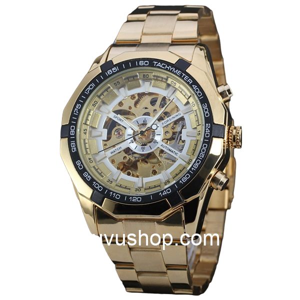 Đồng hồ nam FORSINING TM340 Automatic - Ảnh 2